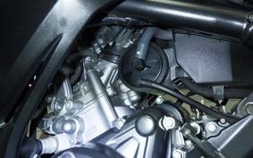 HONDA CBR250RR MC51