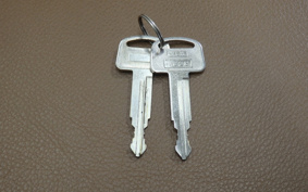 HONDA JU RIO AF52