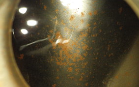 KAWASAKI GPZ900R NINJA 1992 ZX900A