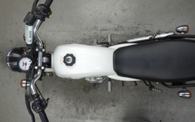 OTHER +UNREGISTERED MODEL by BDS125 2023