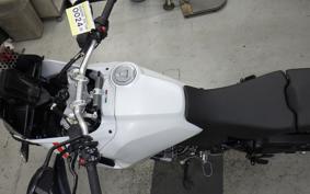 DUCATI DESSERT X 2022