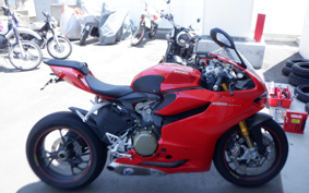 DUCATI 1199PANIGA-RES 2013 H802J