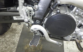 YAMAHA WR250X DG15J