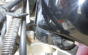 HONDA STEED 400 1994 NC26