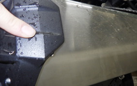 KAWASAKI NINJA 1000 SX 2023 ZXT02K