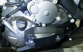 KAWASAKI NINJA ZX-6R A 2019 ZX636G