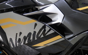 KAWASAKI NINJA 250 EX250P