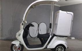 OTHER  BLAZE EV DELIVERY  ..