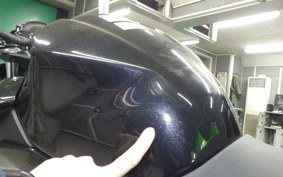 KAWASAKI Z250 Gen.2 2023 EX250Y