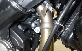 TRIUMPH TRIDENT 660 2025