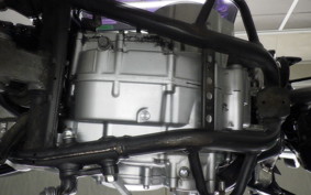 KAWASAKI KLX250D TRACKER X 2007 LX250V
