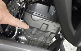 HONDA CRF250L 2021 MD47