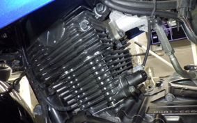 SUZUKI ｼﾞｸｻｰ150 2025