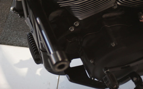 HARLEY FXLRS 2025 YWK