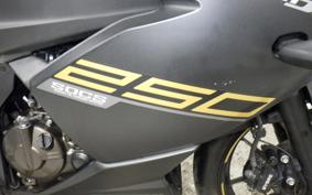 SUZUKI GIXXER 250 SF 2006 ED22B