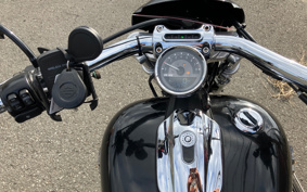 HARLEY HARLEY FXSB BREAKOUT 2014 BF5