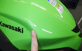 KAWASAKI NINJA 250 2003 EX250P