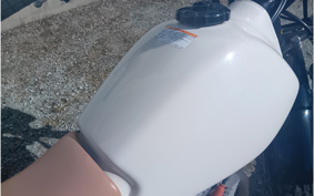 HONDA FTR223 MC34