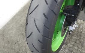 KAWASAKI ZX-4RR 2024 ZX400P