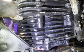 YAMAHA TW225 2021 DG09J