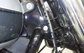 HARLEY FXBR1920 2025