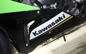 KAWASAKI NINJA ZX-6R A 2024 ZX636J