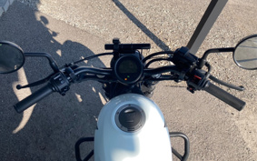 HONDA  REBEL 250 ABS MC49