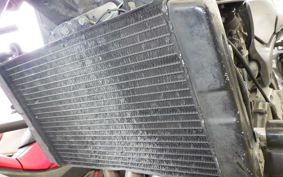 HONDA HORNET 250 MC31