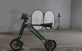 OTHER  BLAZE  SMART EV ..