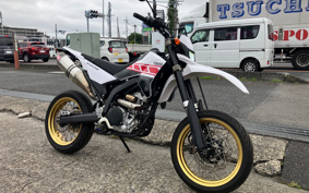 YAMAHA WR250X DG15J