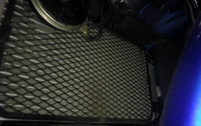 SUZUKI GSX250RA 2008