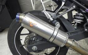 SUZUKI GSX250RA 2013