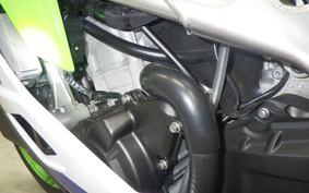 KAWASAKI ZX-4RR 2024 ZX400P