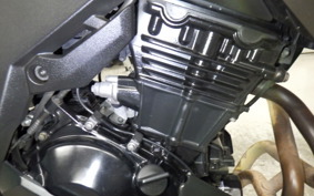 KAWASAKI VERSYS X250 A LE250D