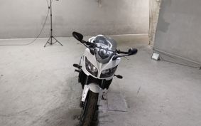 YAMAHA FZ1 FAZER 2010 RN21J