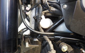 BENELLI レオンチーノ250 1994