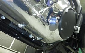 HARLEY FLSB 1750 2026