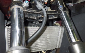 HONDA CBR250R GEN 3 MC41