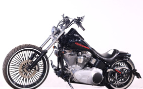 HARLEY FXST 2010 BV5