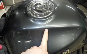 KAWASAKI ZRX1200 D 2009 ZRT20D