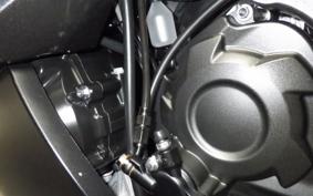 KAWASAKI ZX 1400 NINJA R A 2020