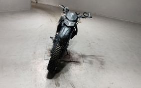 KAWASAKI D-TRACKERX LX250V