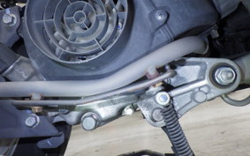 HONDA TODAY 2 2024 AF67