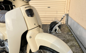 HONDA SUPER CUB50
