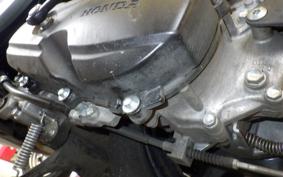 HONDA GIORNO 3 AF77