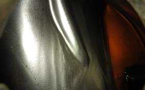 SUZUKI GS750GL 1982 GS750G