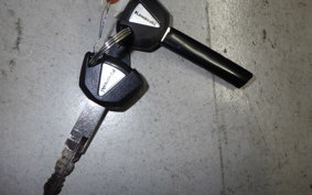 KAWASAKI KLX230SM LX230A