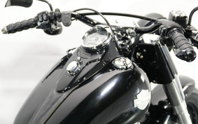 HARLEY FLS 2012 JR5