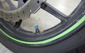 KAWASAKI NINJA 250R 2019 EX250K