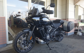 HARLEY PAN AMERICA 1250 SPECIAL 2021 ZES